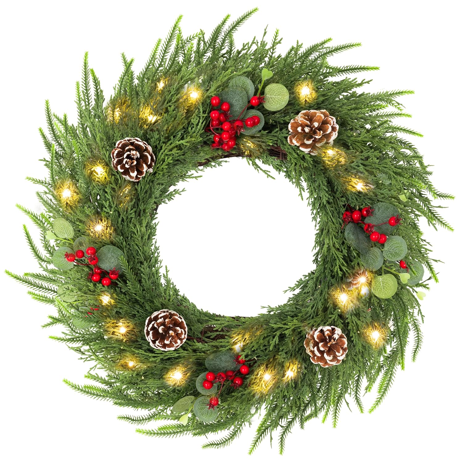24 in. Eucalyptus Christmas Wreath, 50 LEDs