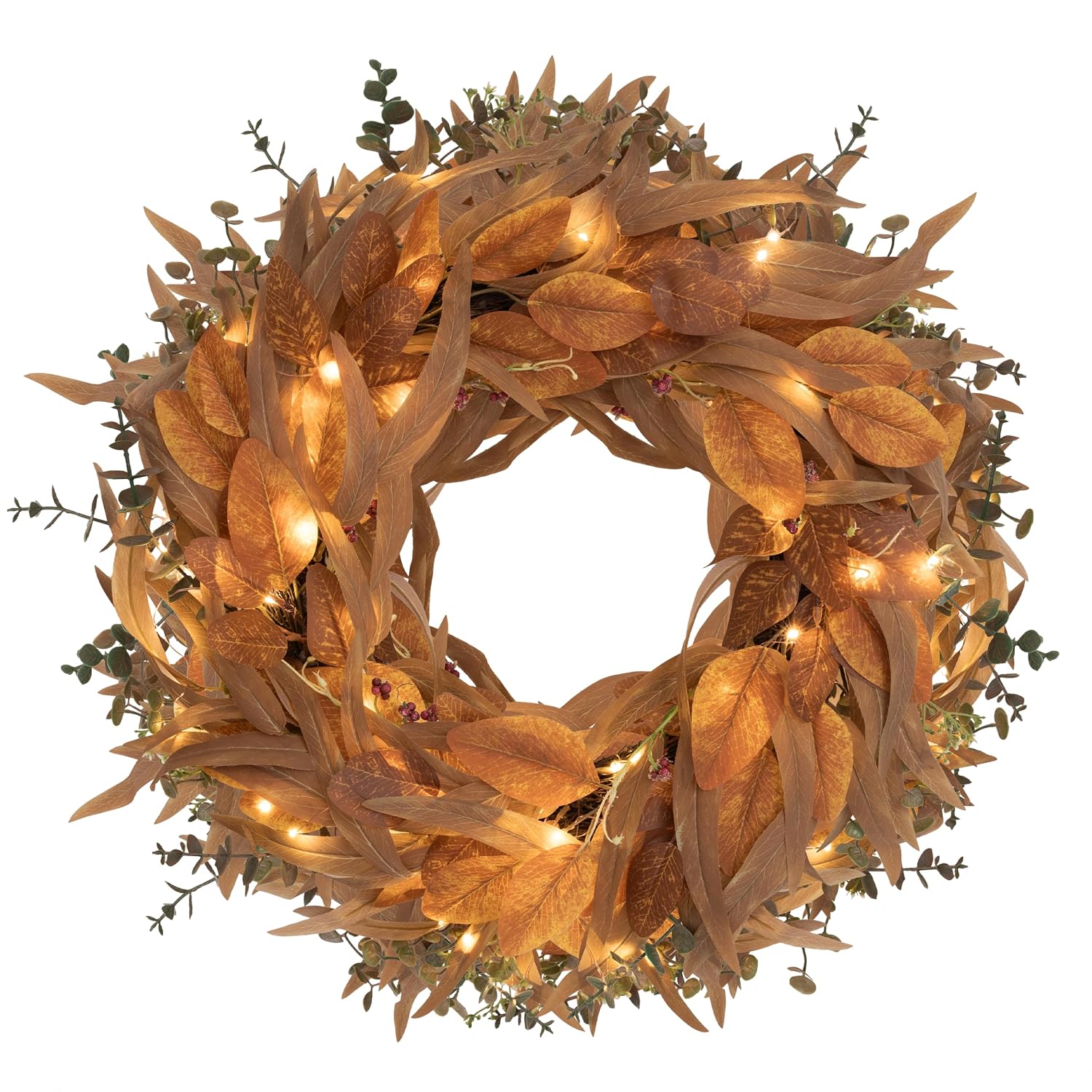 24 in. Lit Eucalyptus Fall Wreath