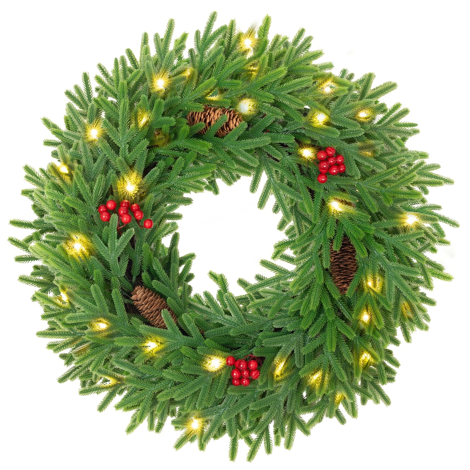 24 in. Lit Winter Wreath for the Front Door
