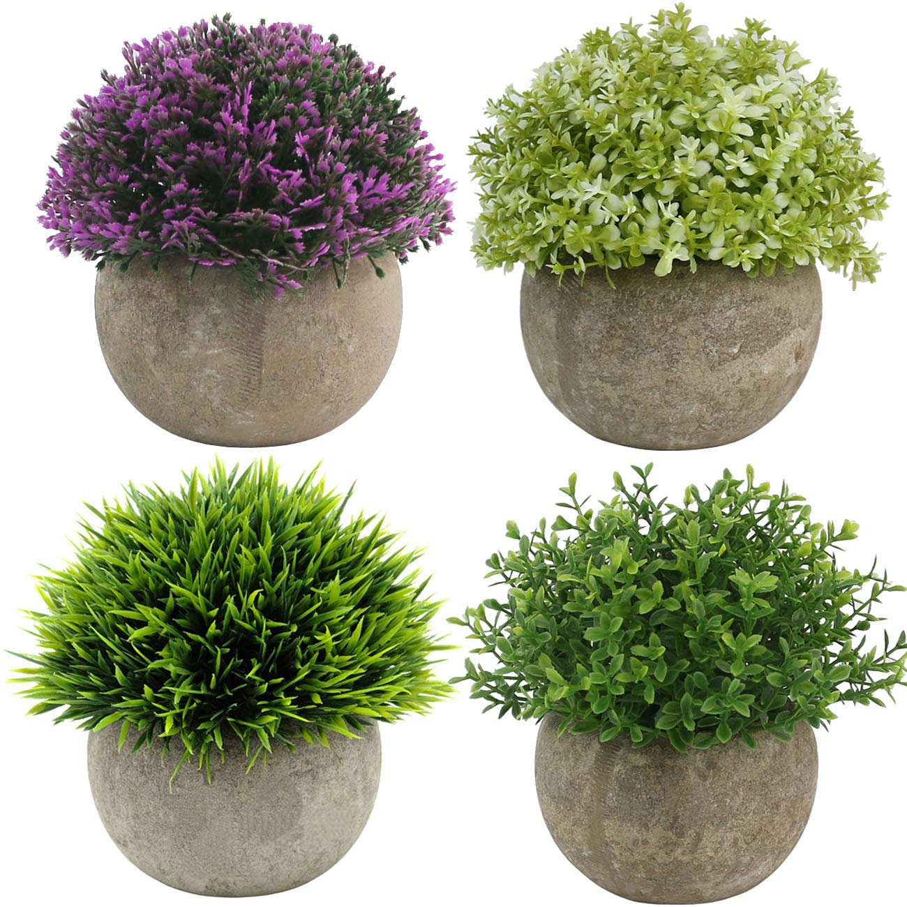Mini Topiary Plants in Pots, 4 Pack